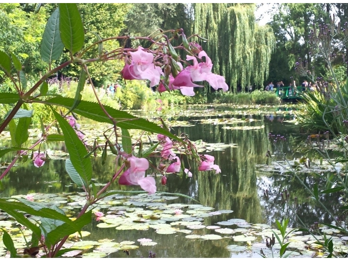 GIVERNY